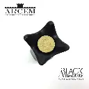 coronel-de-lance-arcem-by-audeo (1).webp